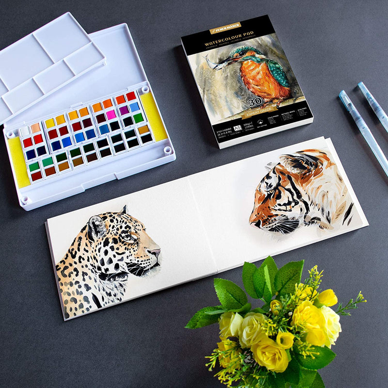 A picture of a tiger and cheetah painted on an A5 Pencilmarch artist watercolour paper pad with 300 gsm paper and 30 pages that comes in a pack of 2 next to a paint palette and flowers - Stationery Island
