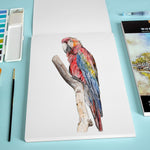 A picture of  a parrot drawn on an A4 Pencilmarch watercolour paper pad with 230 gsm paper and 30 pages that comes in a pack of 2 - Stationery Island