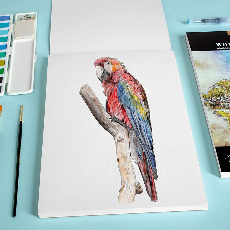 A picture of a parrot drawn on an A4 Pencilmarch watercolour paper pad with 230 gsm paper and 30 pages - Stationery Island