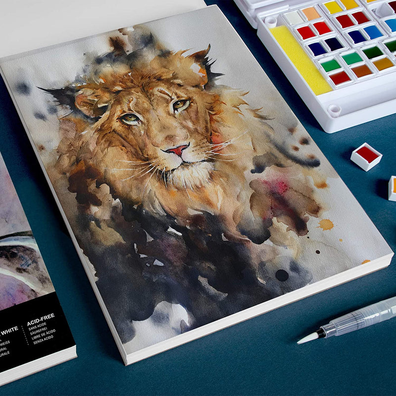 A picture of a lion painted on an A4 Pencilmarch artist watercolour paper pad with 300 gsm paper and 30 pages - Stationery Island