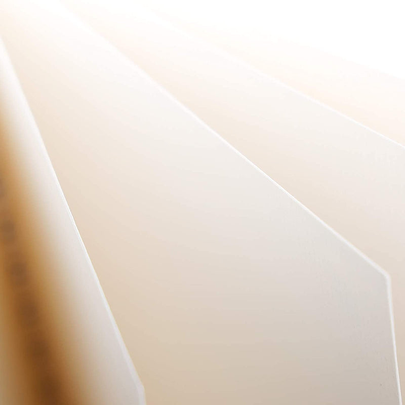 Paper from the 5.5 x 8.5" TBC watercolour paper pad with 30 sheets - Stationery Island