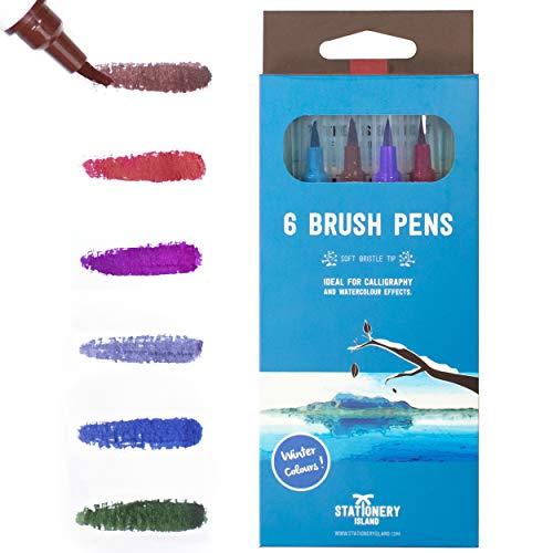 6 winter colours brush pens inside their box packaging with the colours marked on a paper - Stationery Island