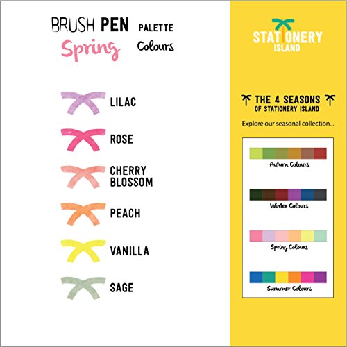 6 different colours with their names beside them that are included in the pack of spring colours brush pens - Stationery Island