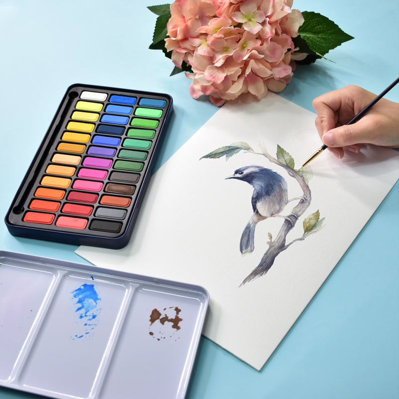 Colours from the creative collection watercolour paint set that has 36 colours, used to paint a picture of a bird on a branch - Stationery Island