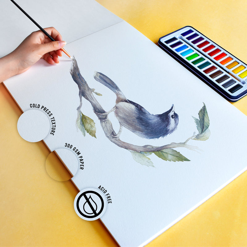 A picture of a bird being painted on the A3 student grade watercolour paper pad with 300gsm paper and 20 pages, which is acid free and has a cold pressed texture - Stationery Island
