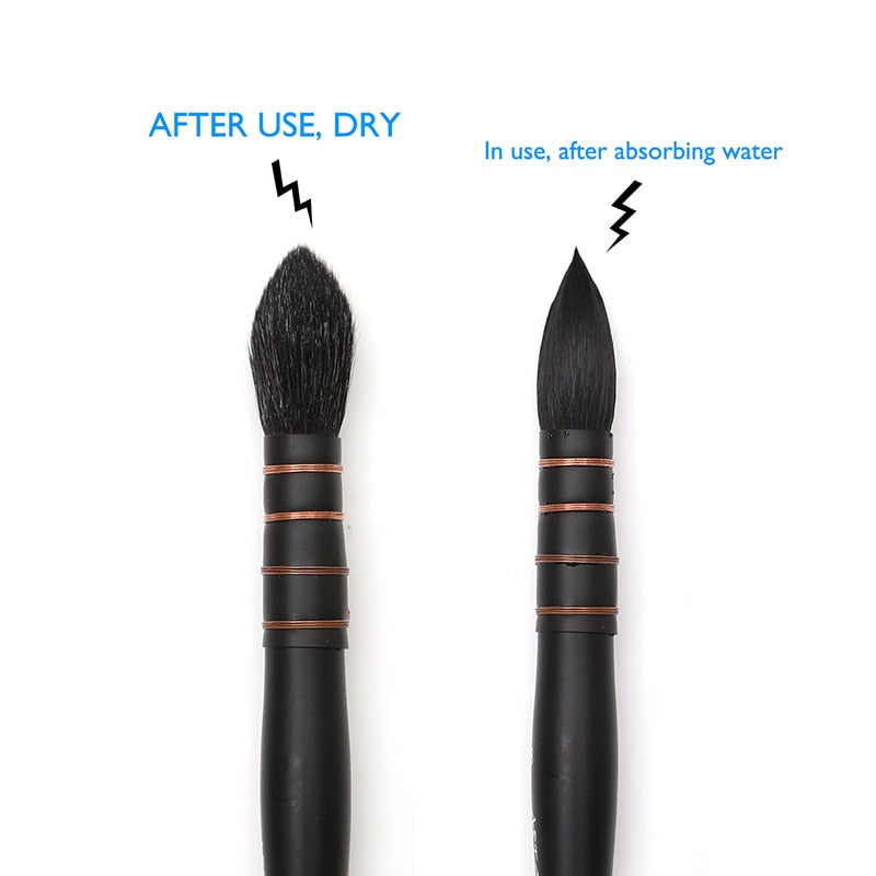 A Dainayw round squirrel hair paintbrush shown as dry after using and after absorbing water when in use - Stationery Island